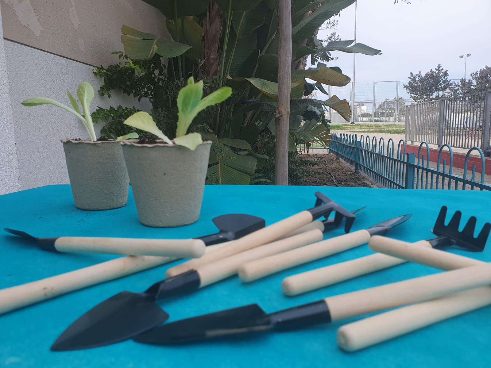 נוטעים ונהנים